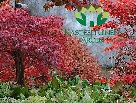 Maasheuvel 아르센